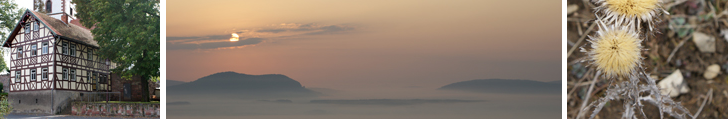 Museum - Horn und Neuberg im Morgennebel - Silberdistel